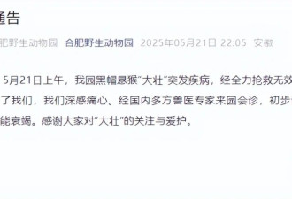 国字脸猴子“大壮”去世，曾因方脸“丑”出圈