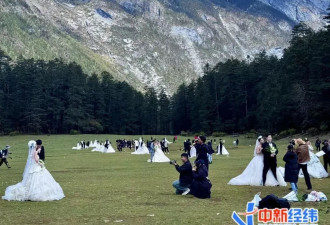 “玉龙雪山脚下长满新娘”，有公司日赚上万