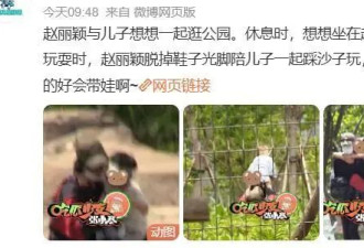 赵丽颖赵德胤细节被扒 辛芷蕾在线吃瓜 网友：不如绯闻男友！