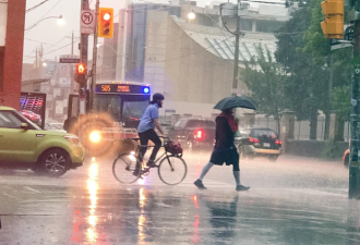 安省"倒退入冬"！多伦多迎40mm暴雨+50km/h狂风