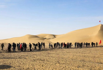 中国人在沙漠种的10万株玫瑰，开花了！网友....