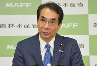 大米价比去年暴涨一倍,"米荒"迫使日本人改吃面条