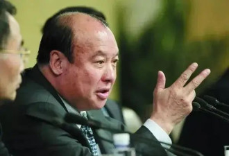 巨人网络史玉柱，一个被兄弟们坑惨的老男人！