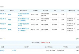 巨人网络史玉柱，一个被兄弟们坑惨的老男人！