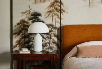 加州设计师之家的柔和粉色客厅及其他特点