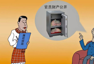 让阳光照入权力的钱袋子,才是避免“百万耳环”的根本