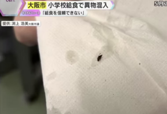 日本小学校餐跌下神坛:混入金属片、死虫子
