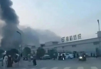 “800哥”霸屏中国网络！网拥戴：他是英雄