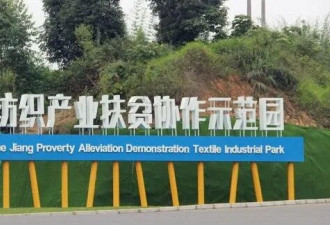 “800哥”霸屏中国网络！网拥戴：他是英雄