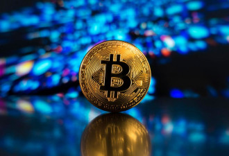 比特币成“正经资产”巨鲸回归 机构抢进场