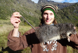 山区惊见巨大老鼠！“比猫还要大”