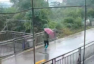 “山上都是吃的!”74岁老人走失6日奇迹生还