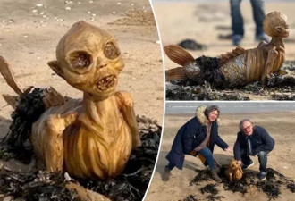 英国海滩惊现神秘骨架生物，鱼尾人形