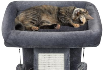 限时8.7 折，猫树和猫公寓，能磨爪，有吊床吊球