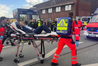 德国汉堡火车站持刀袭击事件致17人受伤，嫌犯...