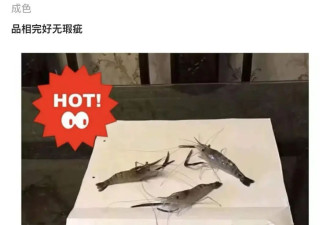 在中文版“暗网”上，能买到多禁忌的服务