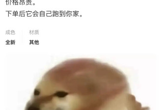 在中文版“暗网”上，能买到多禁忌的服务