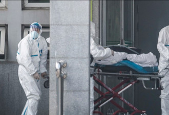 武汉疫情爆发5到7年前 这里早就有新冠病毒