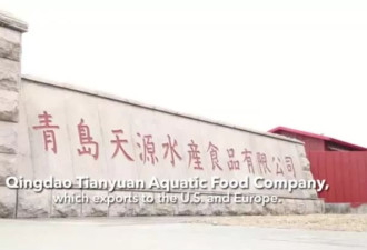 维吾尔族人被迫加工渔产品，全球海鲜供应链遭污染