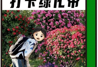 北京绿化带，成了年轻人的“5A级景区”