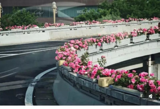 北京绿化带，成了年轻人的“5A级景区”