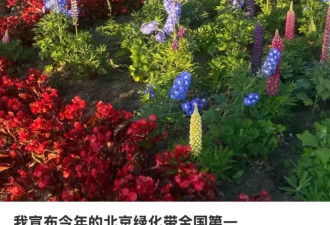 北京绿化带，成了年轻人的“5A级景区”