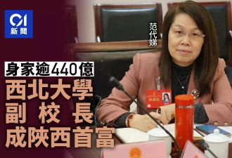 身家逾440亿 西北大学副校长范代娣成陕西首富