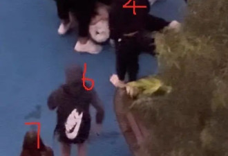 中国夫妇悉尼遭青少年群殴 万名华人愤怒请愿