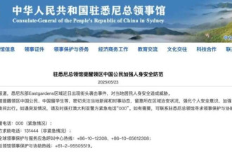 中国夫妇悉尼遭青少年群殴 万名华人愤怒请愿