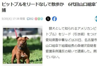 日本黑帮组长被捕 因遛狗不牵绳? 网友群嘲