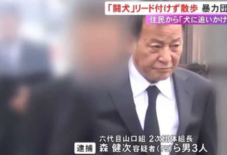日本黑帮组长被捕 因遛狗不牵绳? 网友群嘲