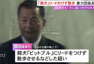日本黑帮组长被捕 因遛狗不牵绳? 网友群嘲
