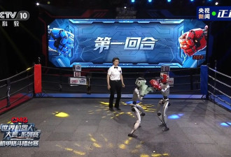 全球首个！中国机器人格斗大赛来了