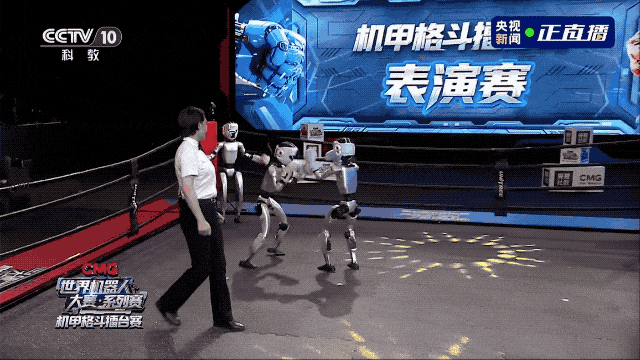笑疯了！全球首个机器人拳王出炉！互殴现场比...