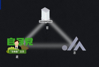 "米荒"还在持续,米价咋就难倒了这个"吃米大国"?