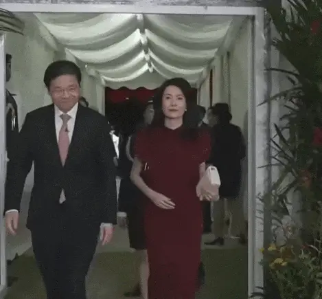 新加坡总理就职，却被金融女老婆“抢镜”！拎Longchamp帆布袋亲民～