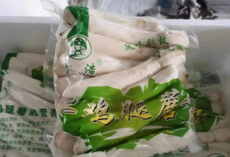 为什么当代艺术正在“蘑菇”化？