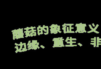 为什么当代艺术正在“蘑菇”化？