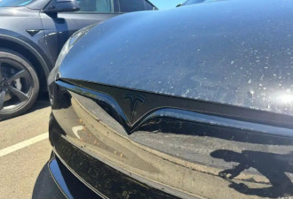 新款特斯拉Model S Plaid实车 依旧采用屏幕换挡