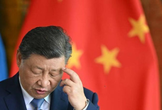 习近平信用崩塌？这场拍卖大翻车