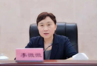 中共正部级“女老虎”李微微被公诉