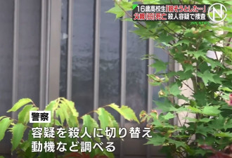 日本16岁高中生持刀弑父后自首 只因不满……