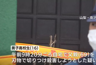 日本16岁高中生持刀弑父后自首 只因不满……