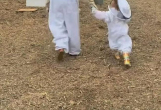 梅根晒母女养蜂视频，三岁莉莉贝特罕见露脸