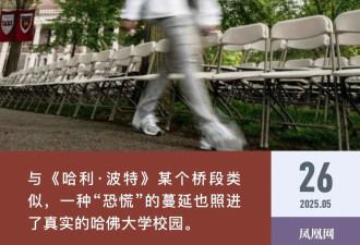 “哈佛难民”的恐怖五月：像极了哈利波特的某个桥段…