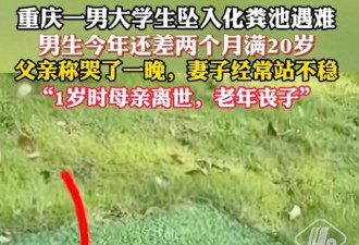 重庆大学生化粪池坠亡后续 双方和解 曝赔偿金