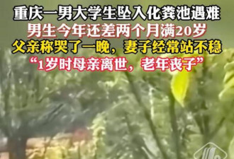 重庆大学生化粪池坠亡后续 双方和解 曝赔偿金
