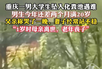 重庆大学生化粪池坠亡后续 双方和解 曝赔偿金