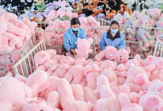 超标近8倍，法国查获中国产“毒毛绒玩具"