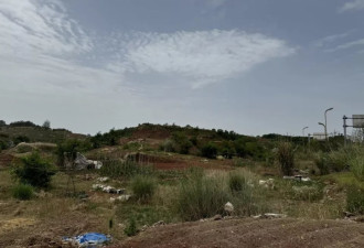 代建团购房拍地后项目流产，南充向企业追讨近2.6亿违约金